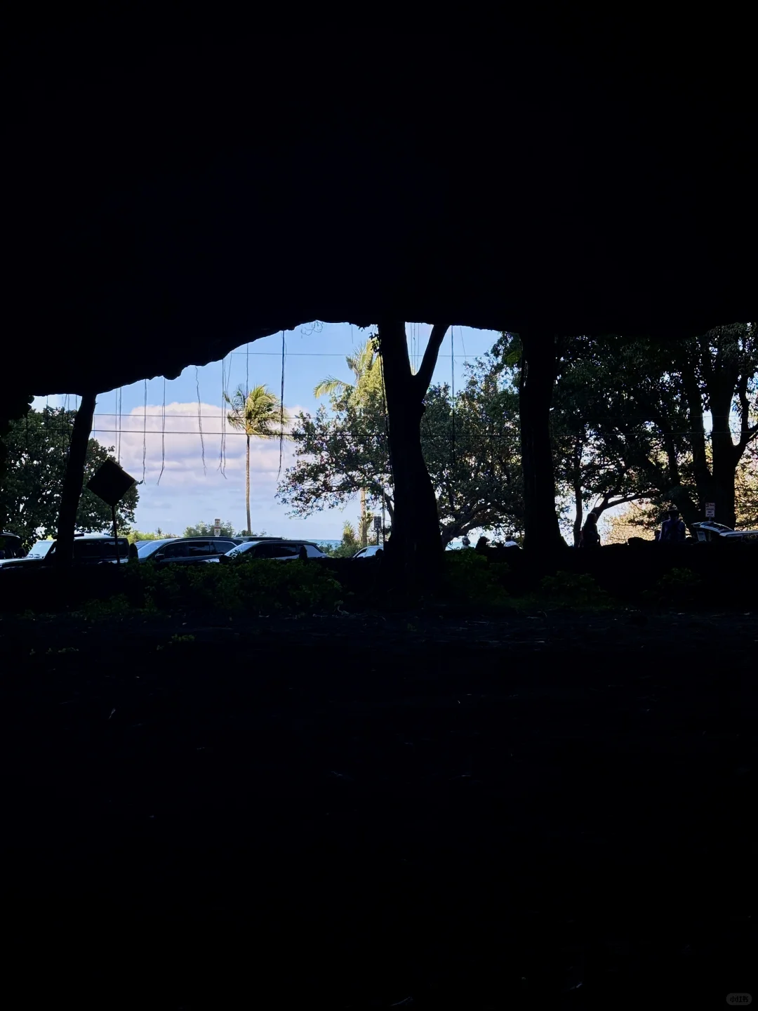 Kauai|在夏威夷每一张都是人生照片🥳