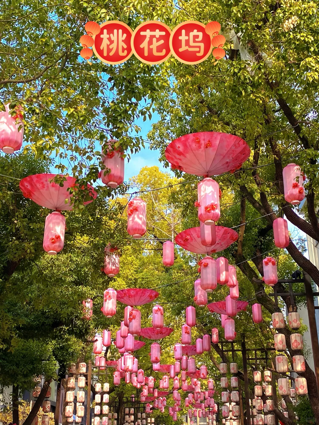 北寺塔～桃花坞～皮市街（免费游玩）