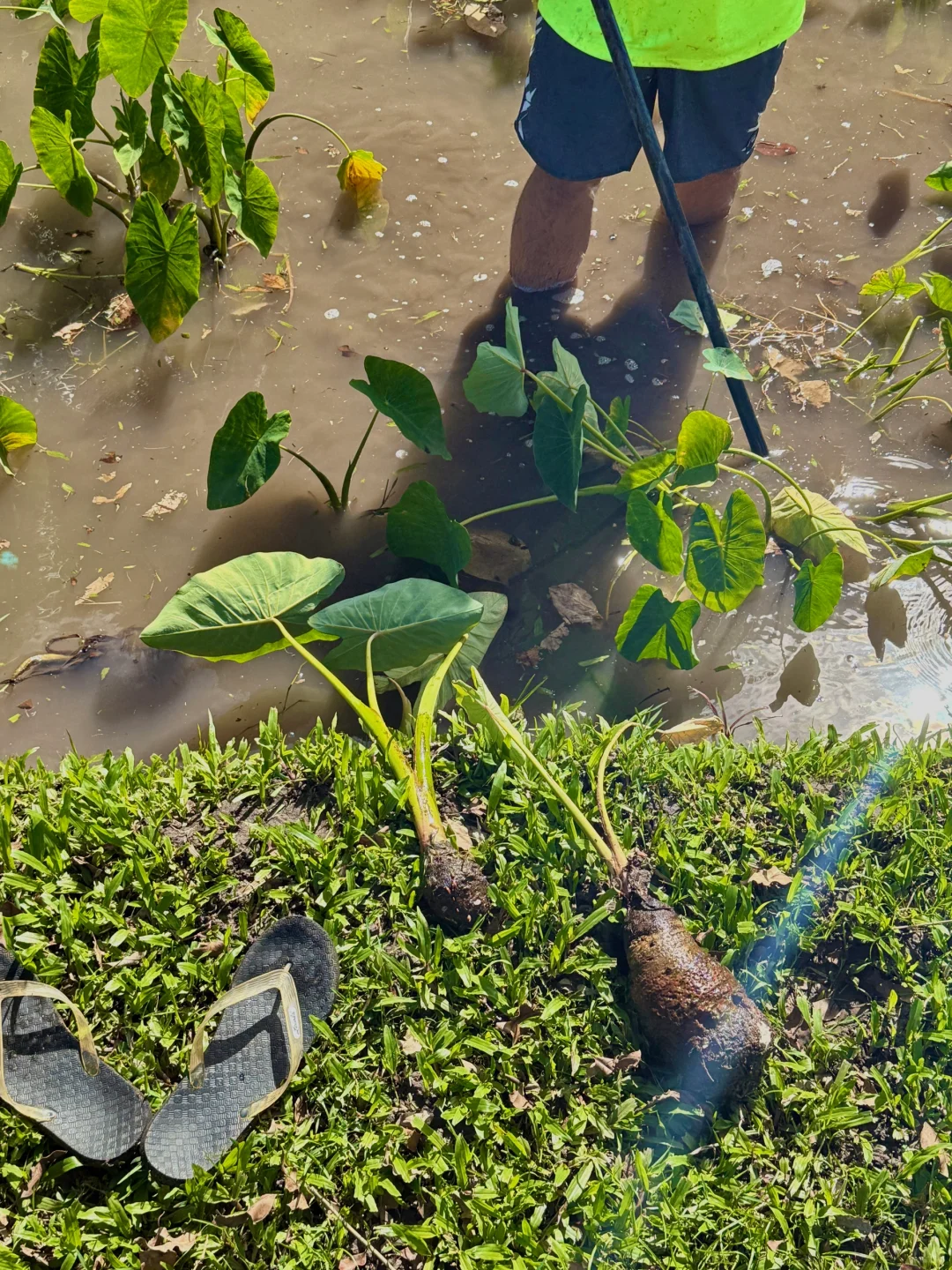 Kauai|在夏威夷每一张都是人生照片🥳