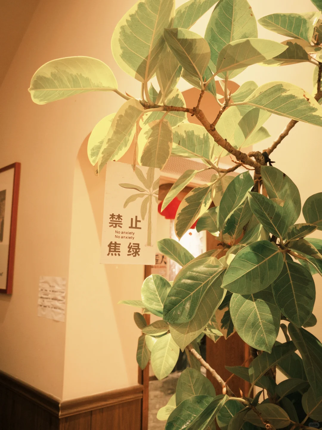 长沙春节两日游