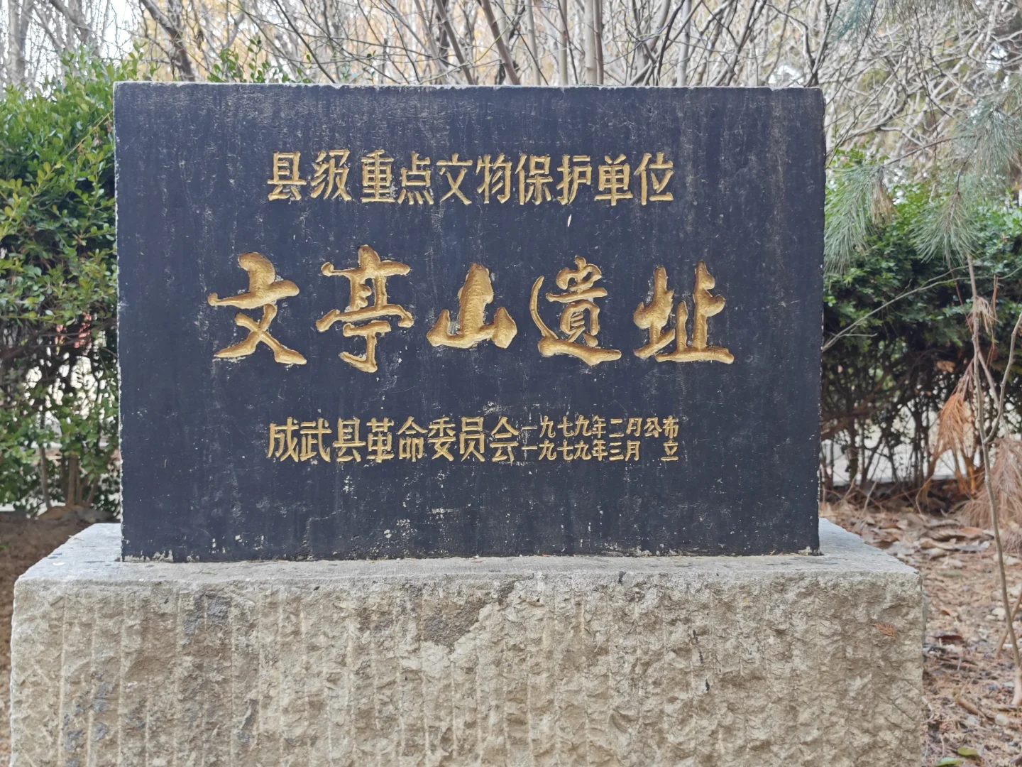 成武