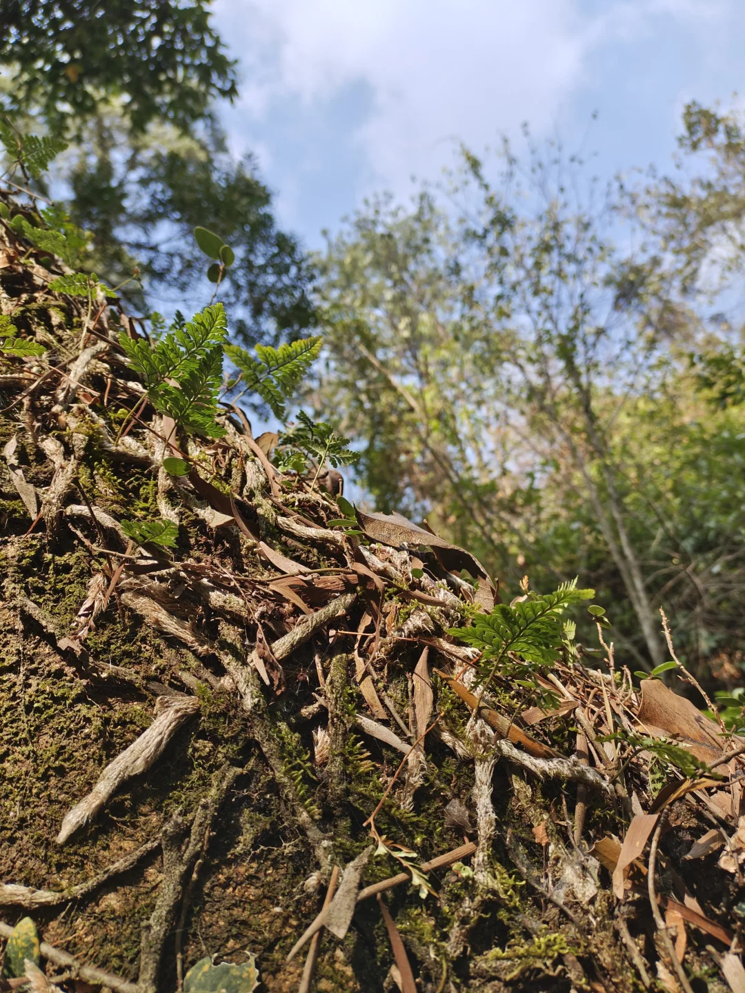 东岭古道浅尝