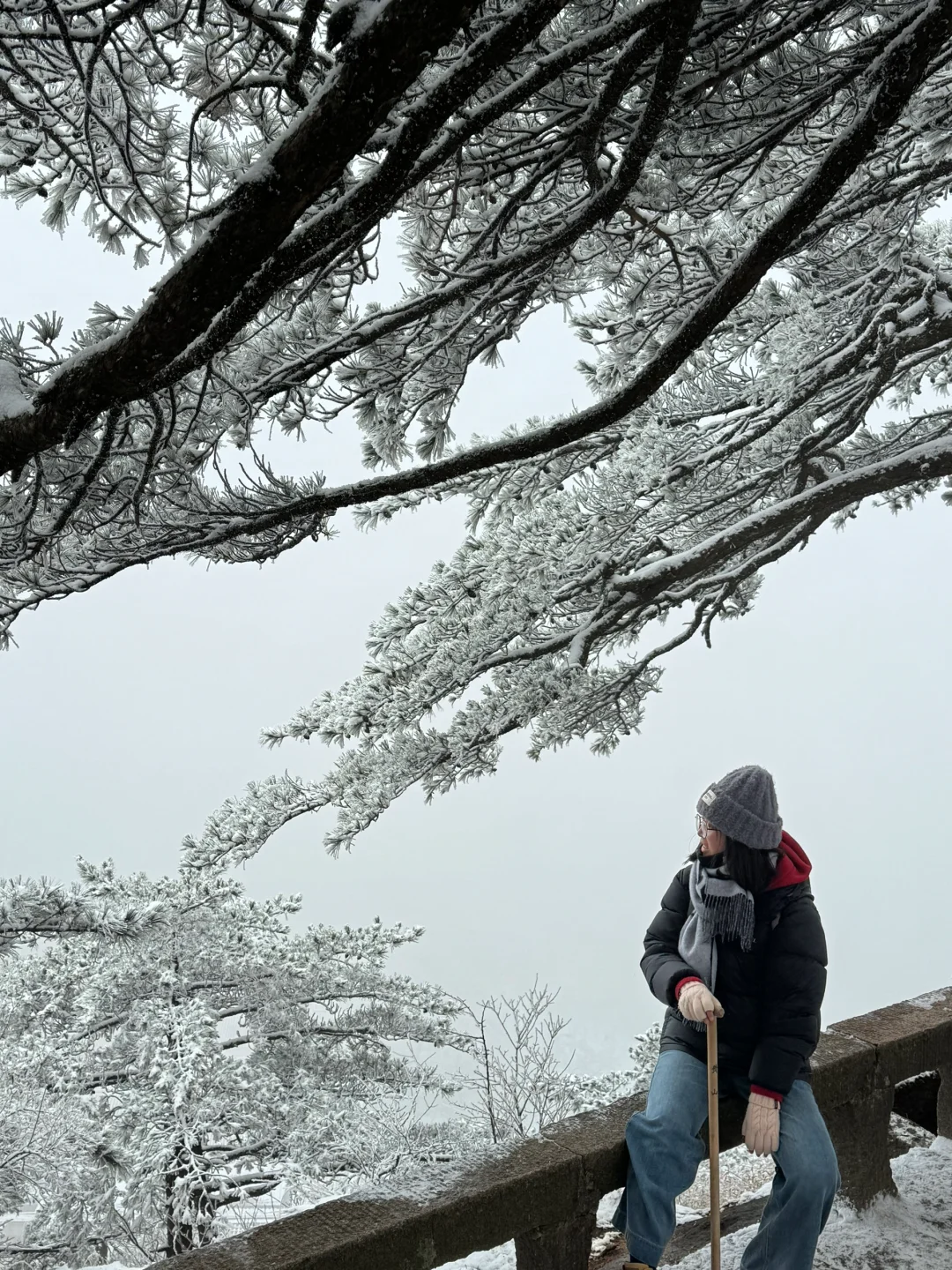 年初六的黄山，美了、值了～