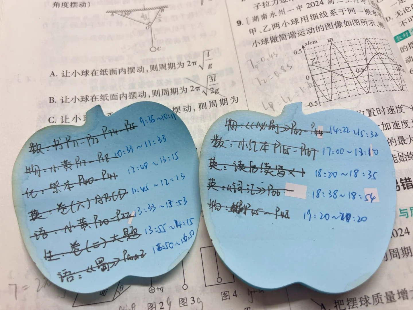 高二/物化生/Day5️⃣