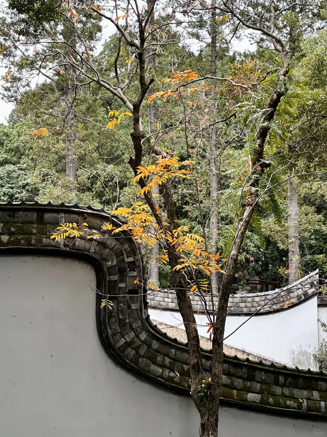 福州DAY3