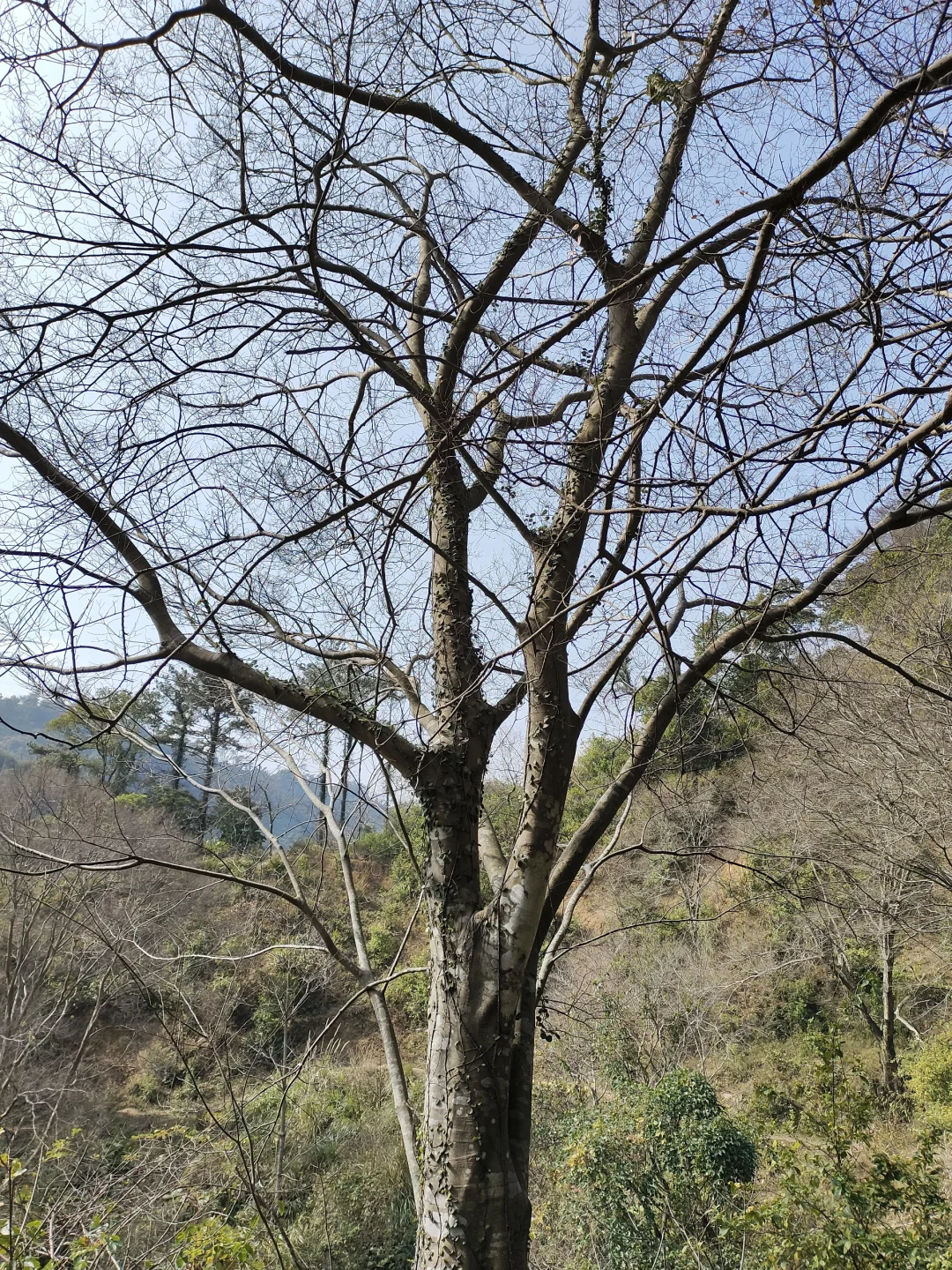东岭古道浅尝