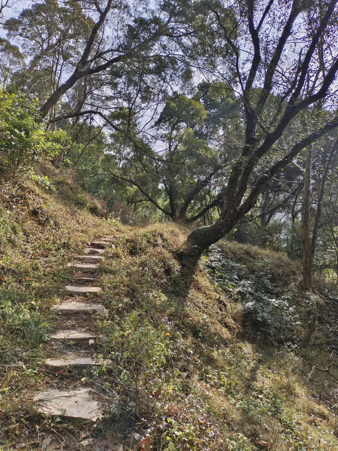 东岭古道浅尝