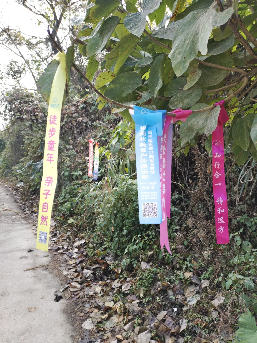 东岭古道浅尝