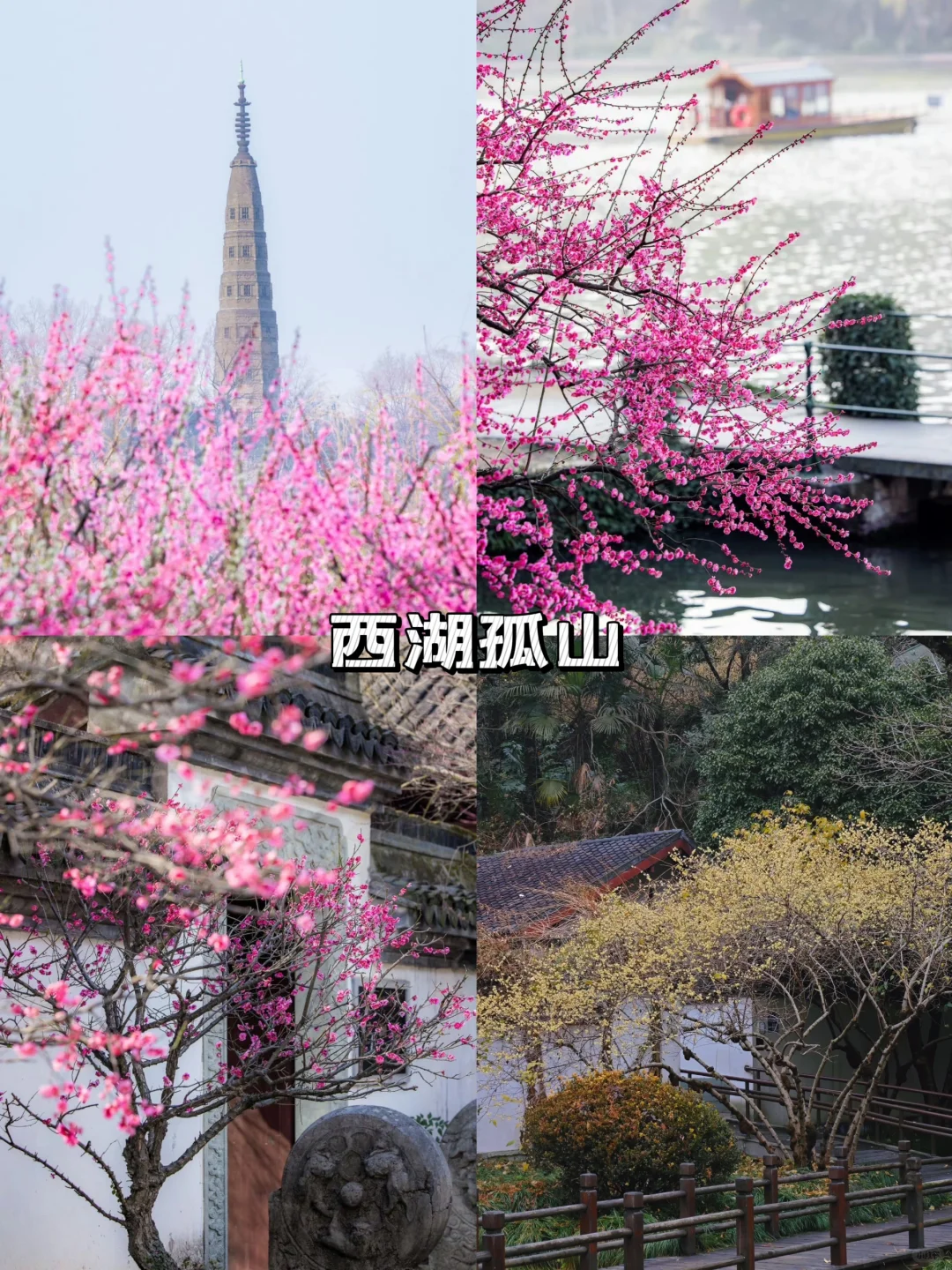 杭州四大绝美赏梅圣地🎁踏梅寻香即刻出发
