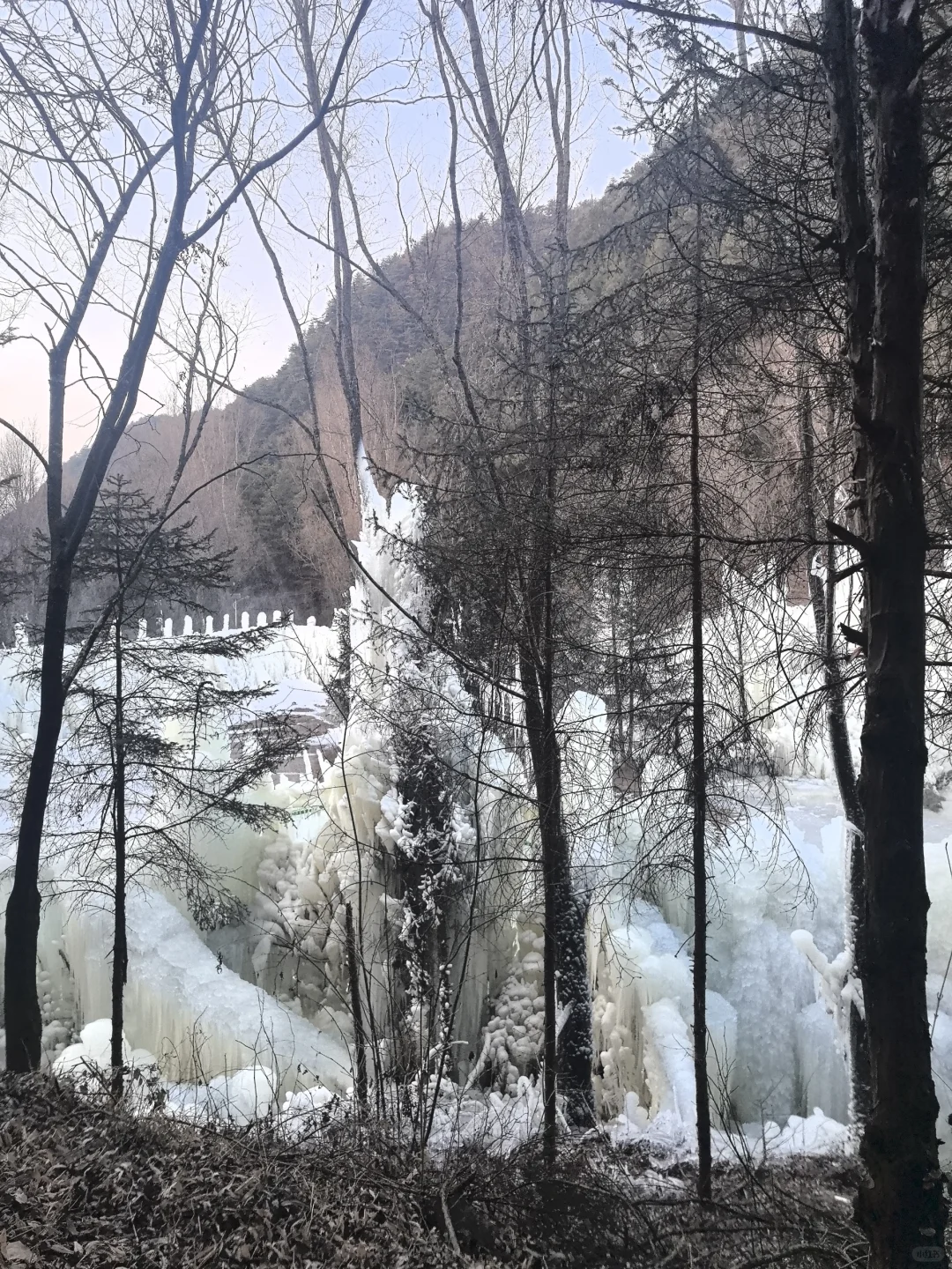 天水一日游
