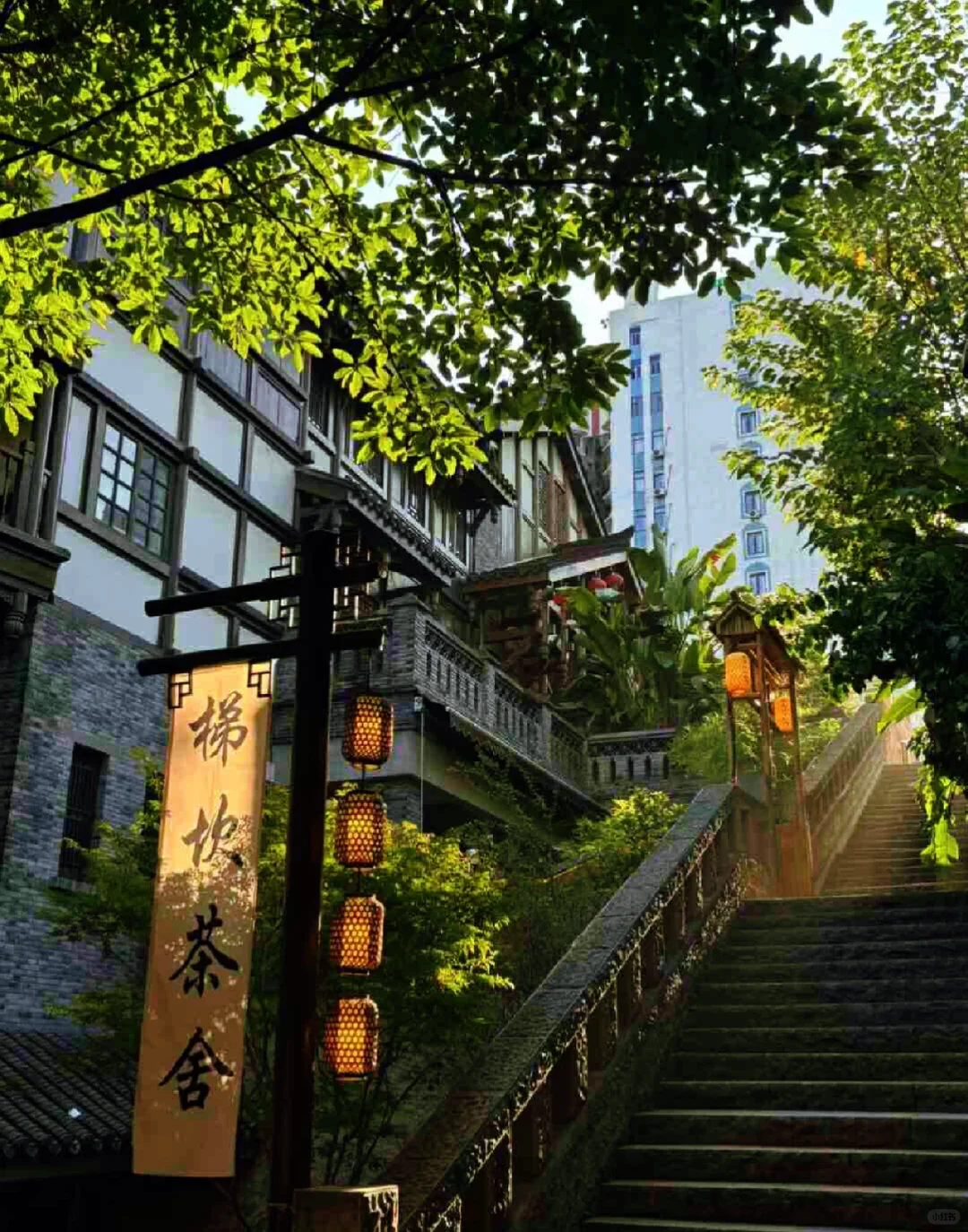 南浔这条山路太好拍了！📷