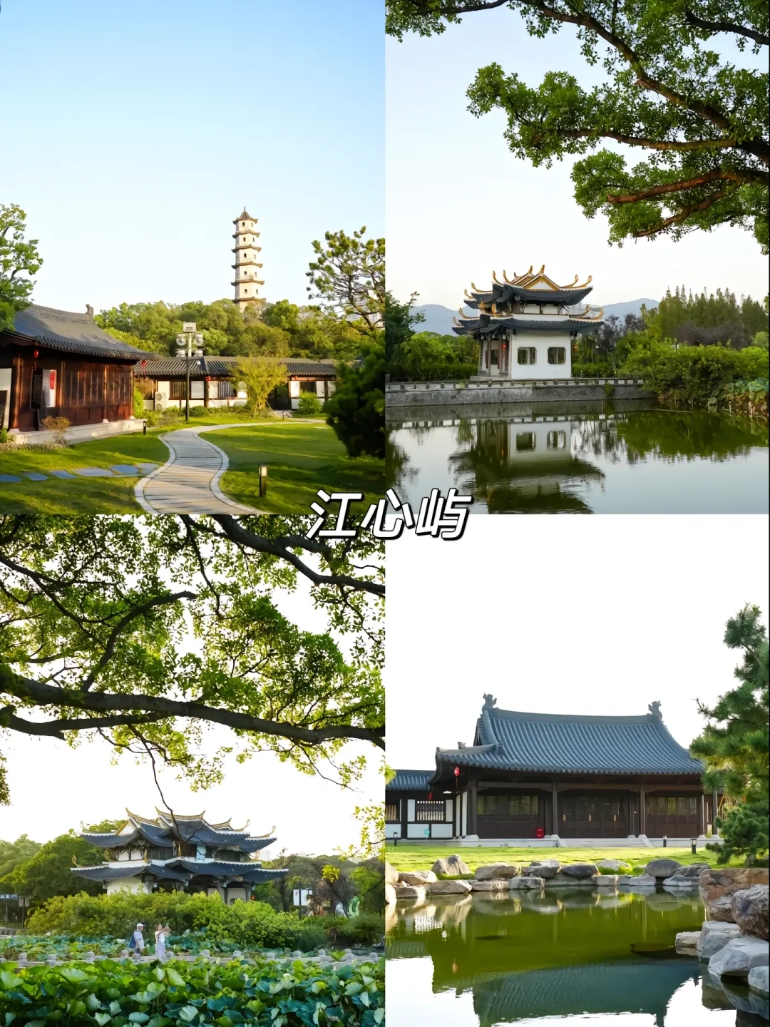 🎉浙江温州必打卡八大景点，不容错过！