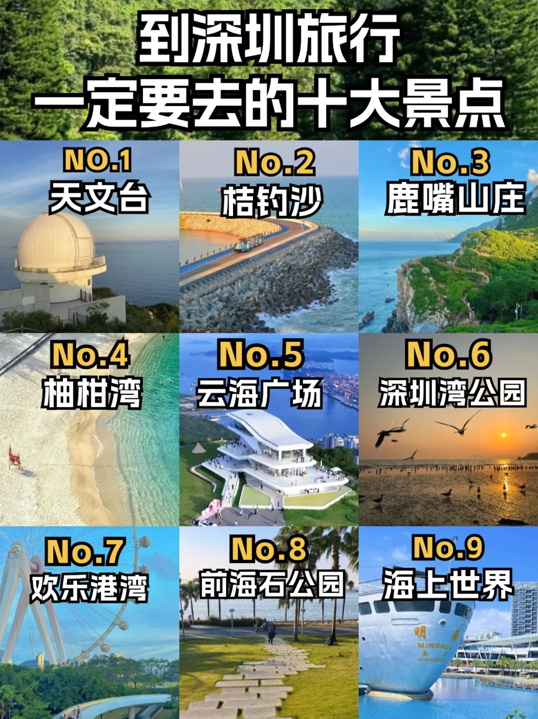 🌈 深圳绝美十大景点，打卡必备攻略！
