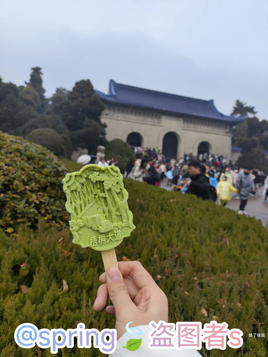 南京美皂