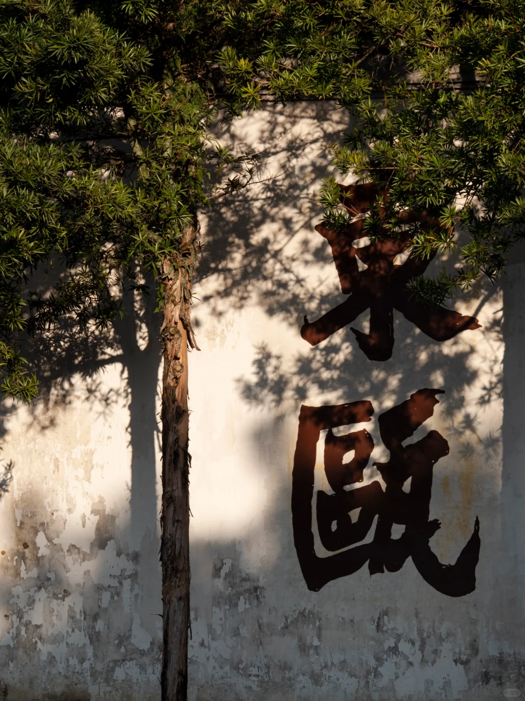 春节温州游记