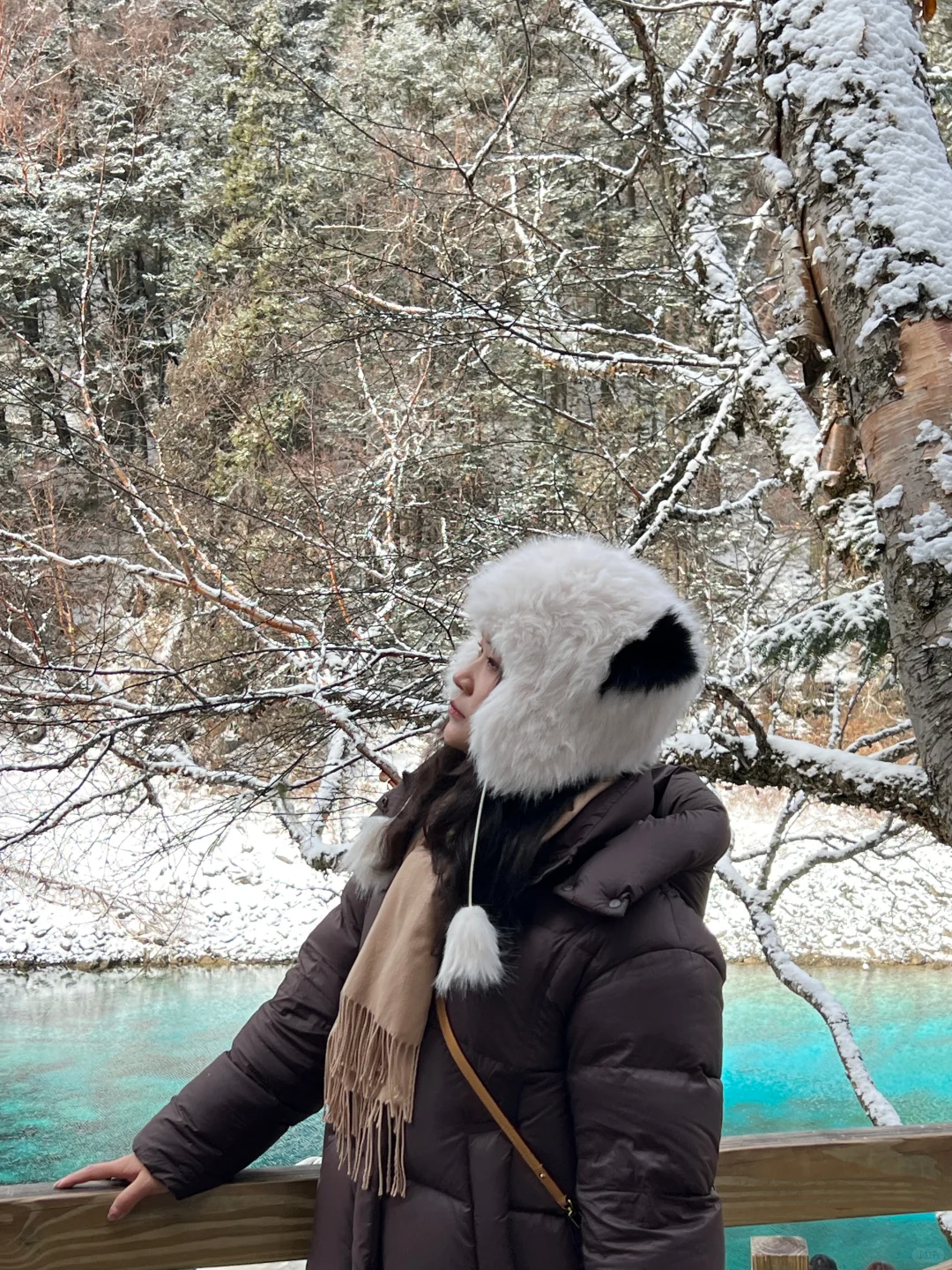 2.3📍九寨沟实况现状，已踩雷😭建议听劝...