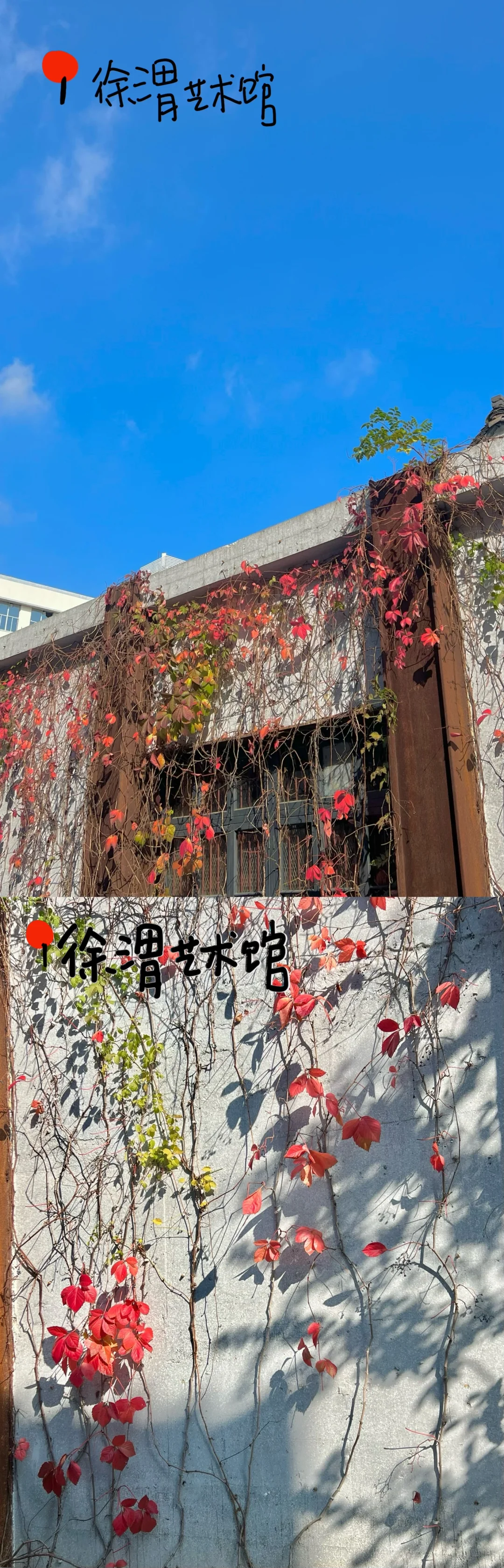 特种兵速进！绍兴一日游超详细攻略来啦