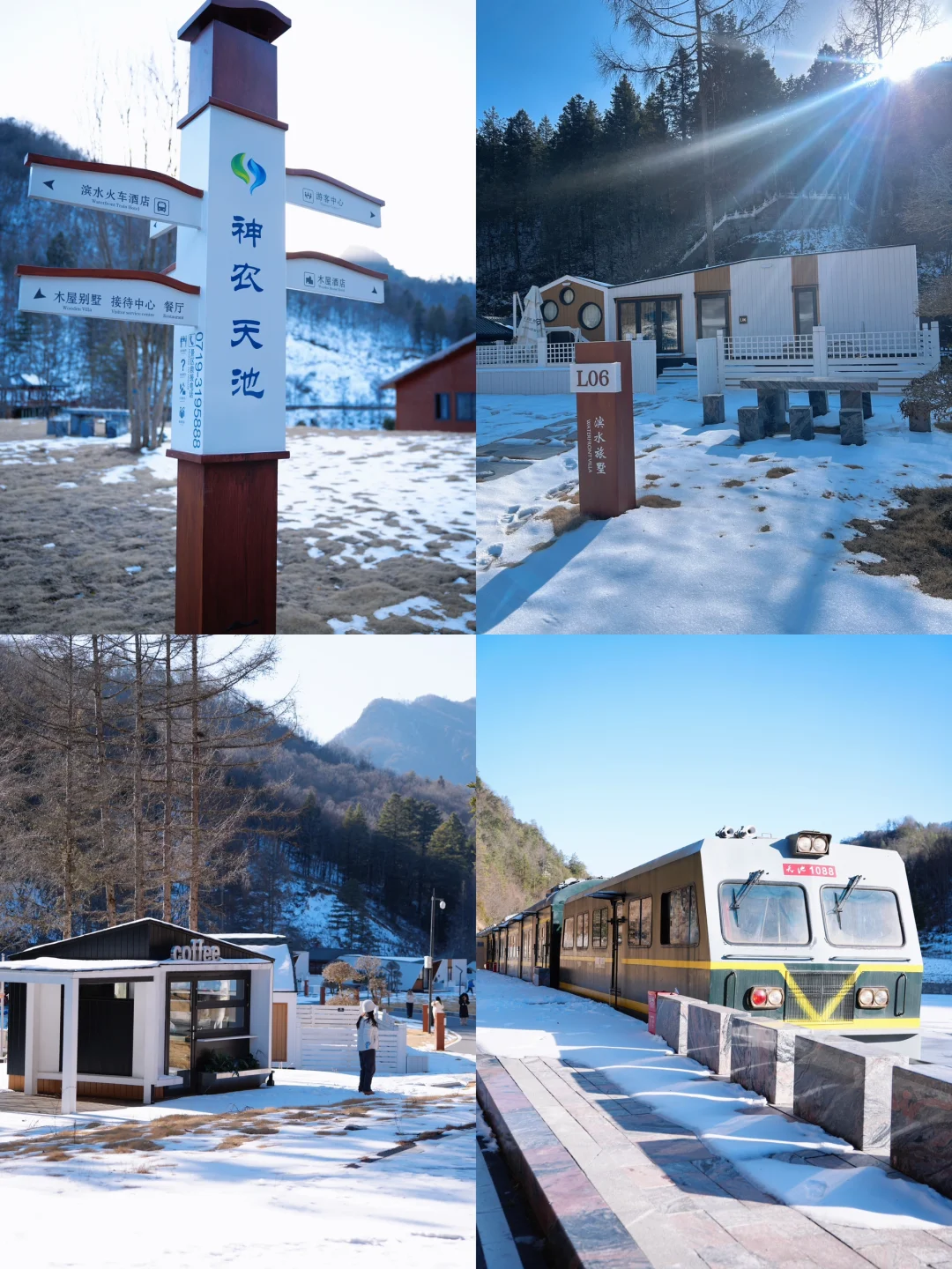 湖北人有自己的宝藏雪乡| 神农天池✨