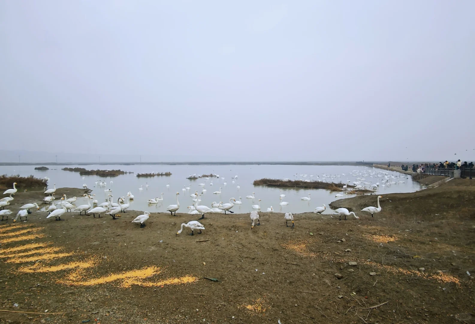 北京自驾山西4｜盐湖进不去后续