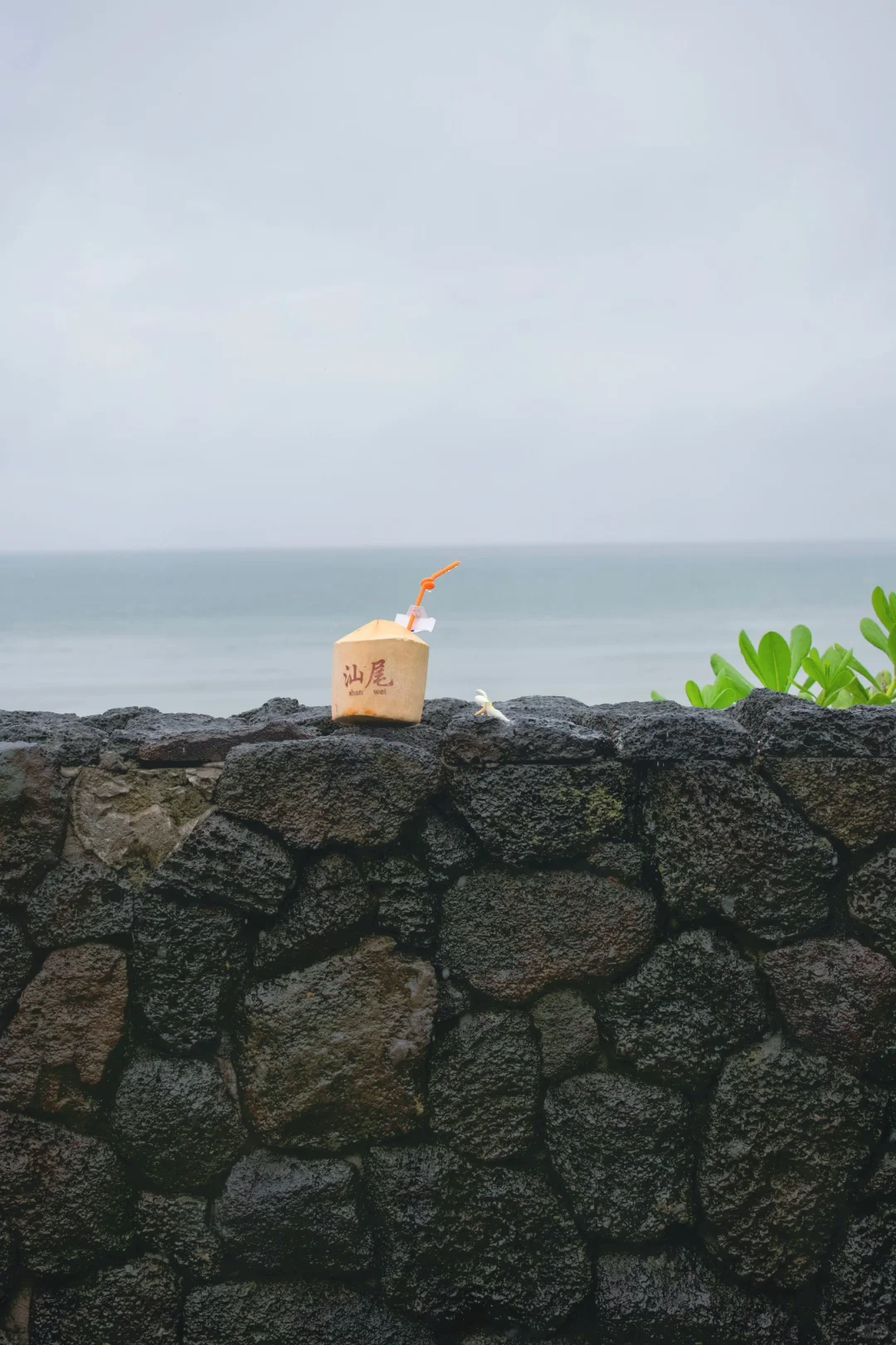 汕尾旅游攻略
