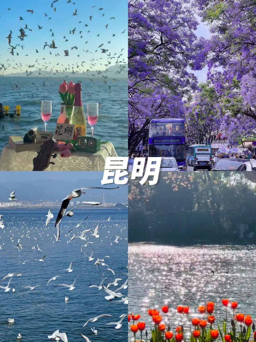 2-3月旅游👏12个温暖☀不踩雷旅行地攻略篇‼️
