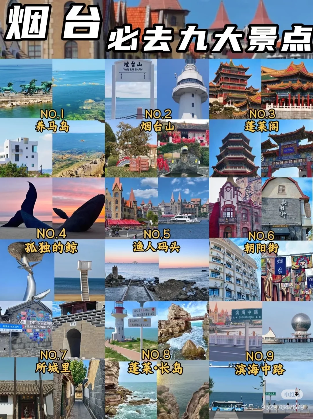 山东旅游地图·🌆山东省16地市旅游推荐