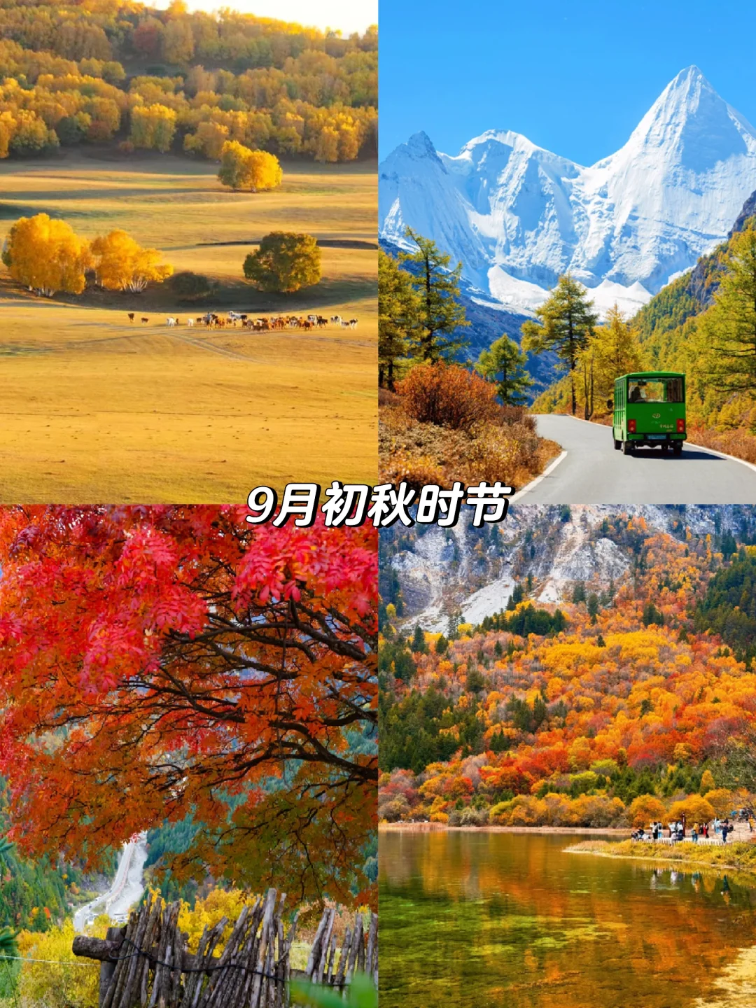 2025全年旅行计划📍按月份解锁最佳旅行地