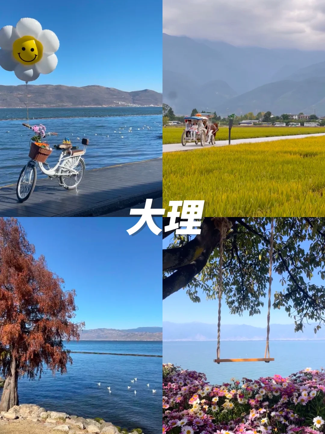 2-3月旅游👏12个温暖☀不踩雷旅行地攻略篇‼️