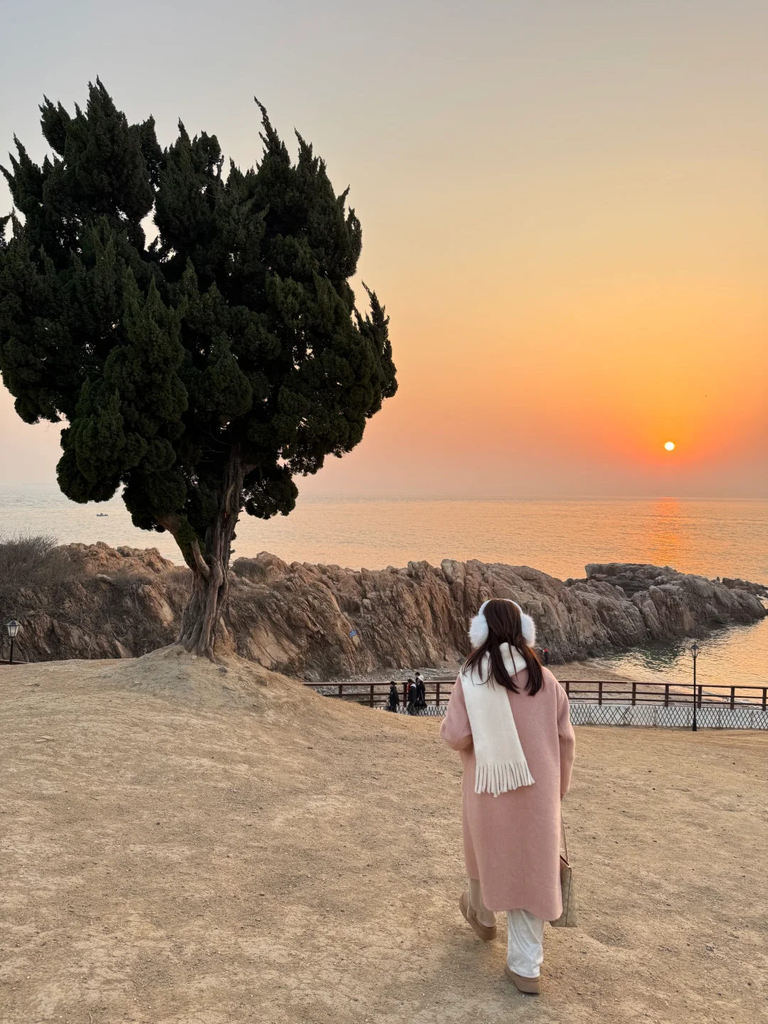 青岛威海烟台6天5晚，特种兵旅行攻略‼️