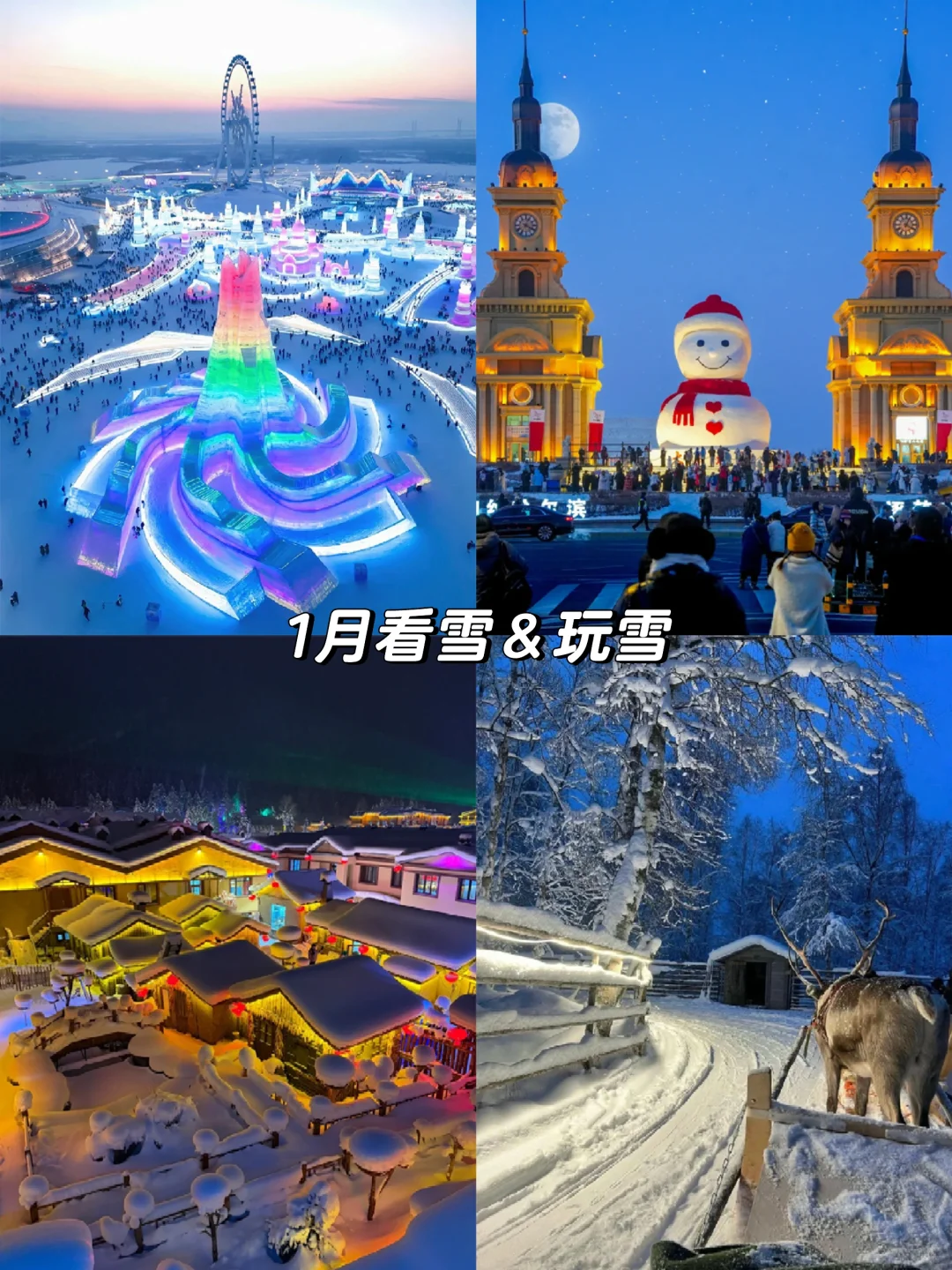 2025全年旅行计划📍按月份解锁最佳旅行地