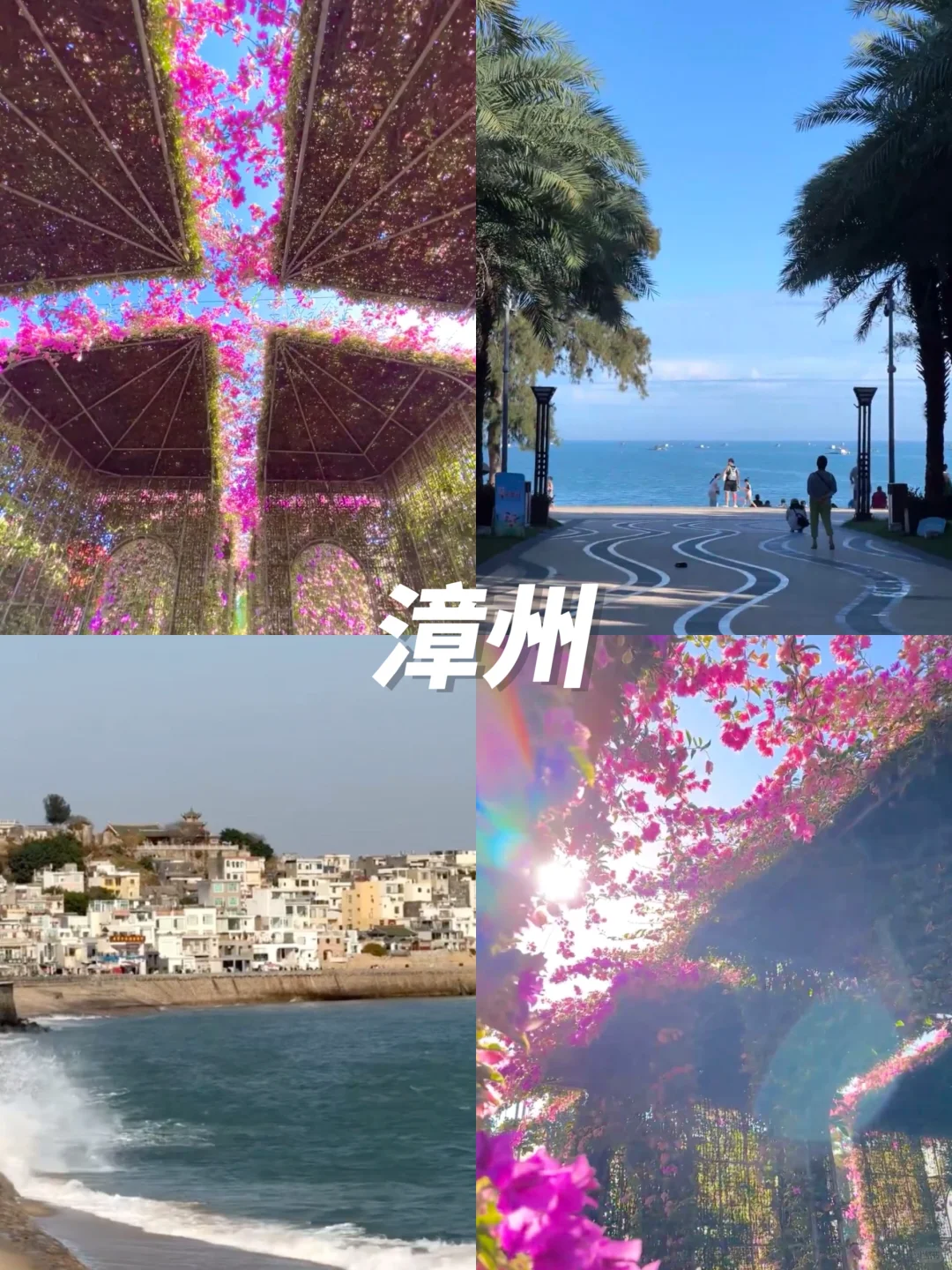 2-3月旅游👏12个温暖☀不踩雷旅行地攻略篇‼️