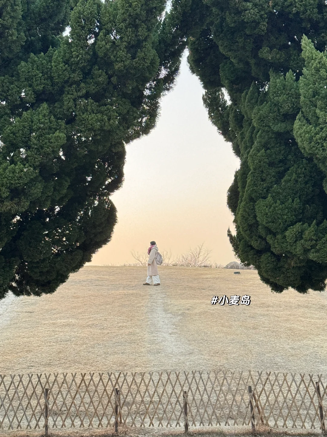 青岛威海烟台6天5晚，特种兵旅行攻略‼️