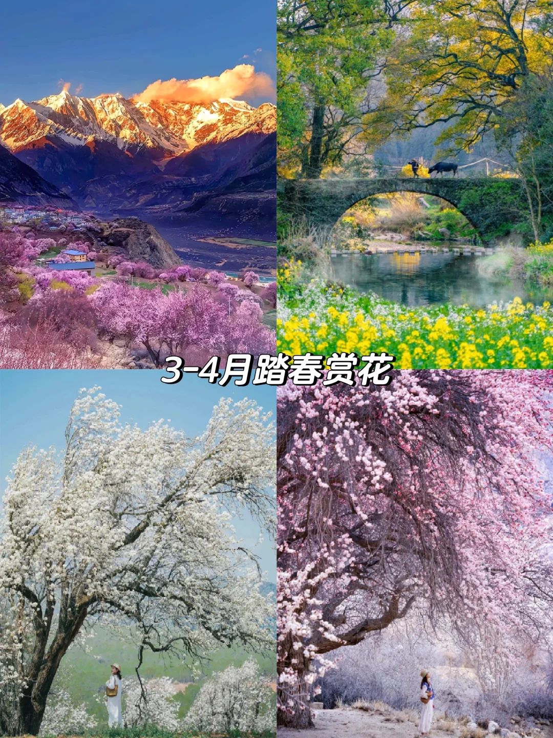 2025全年旅行计划📍按月份解锁最佳旅行地