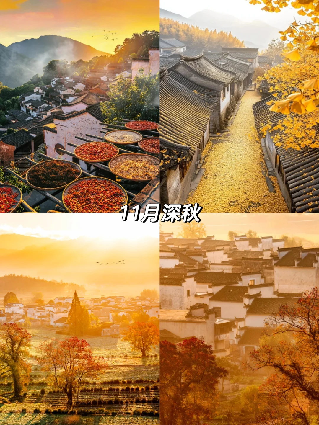 2025全年旅行计划📍按月份解锁最佳旅行地