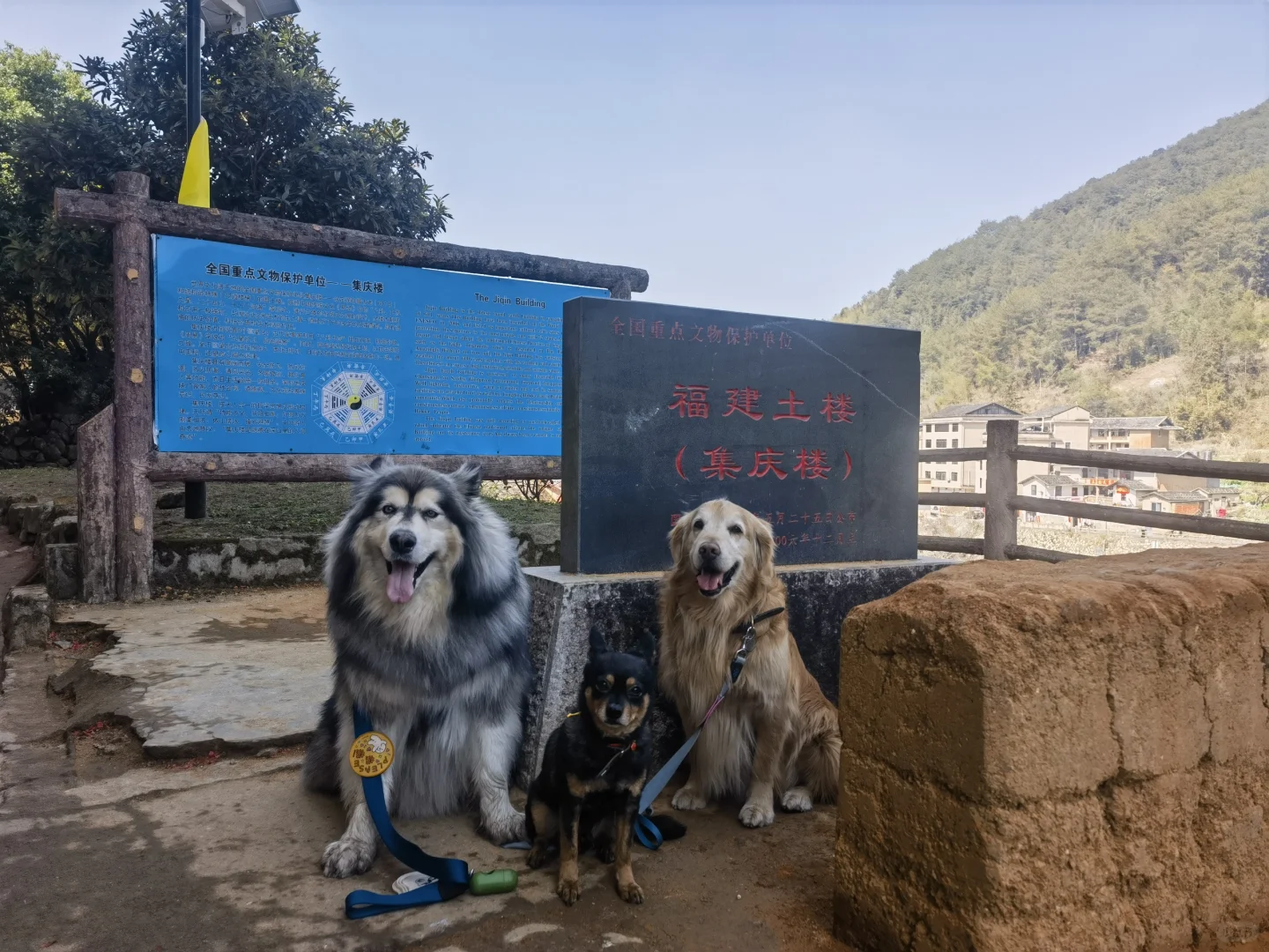 看看这座城