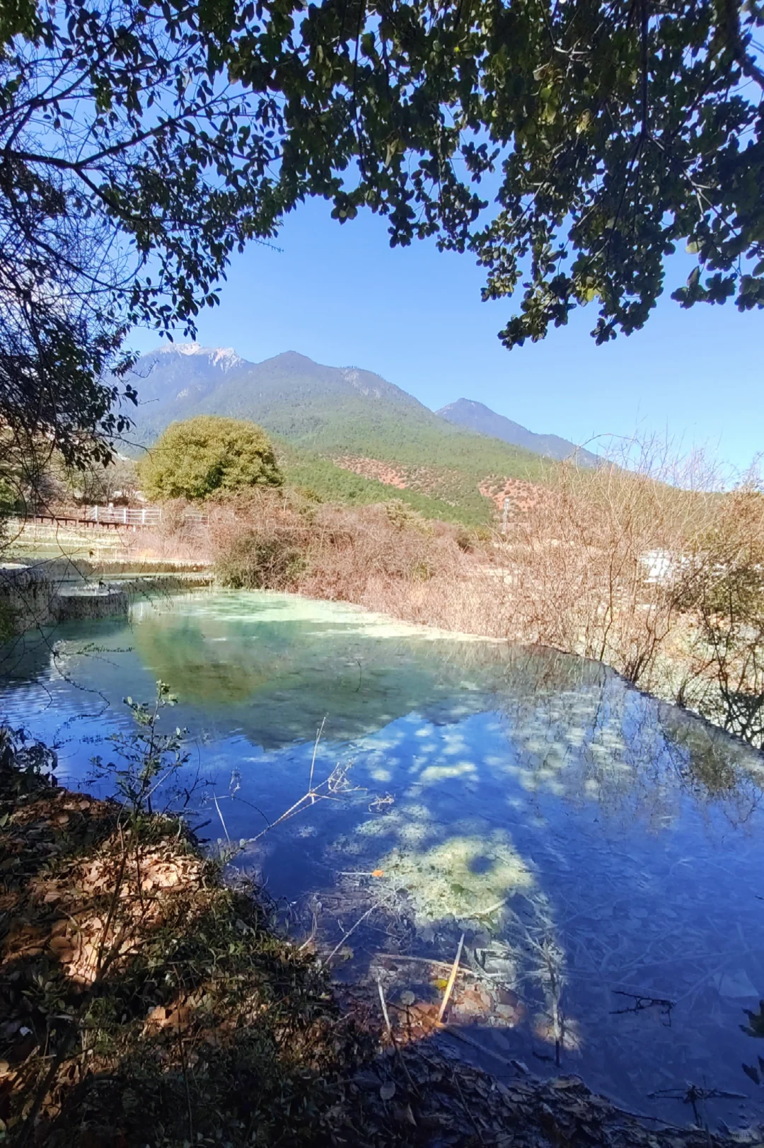 白水台的风
