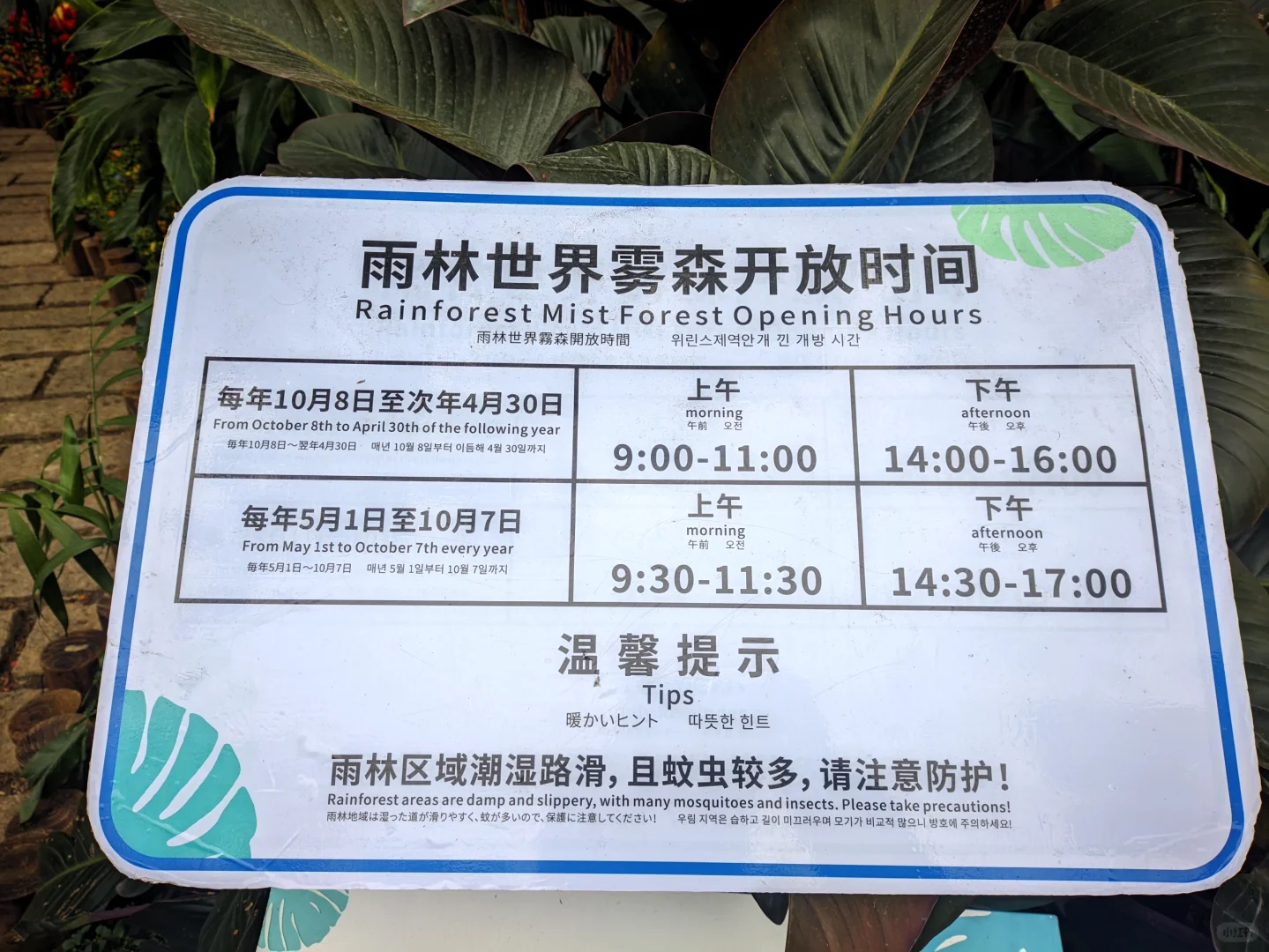 泉州+厦门亲子旅游