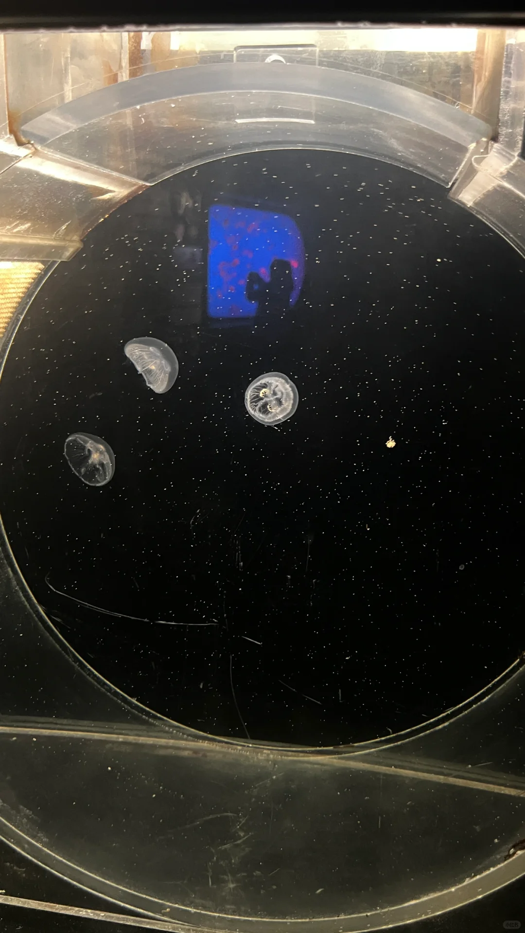 海洋馆