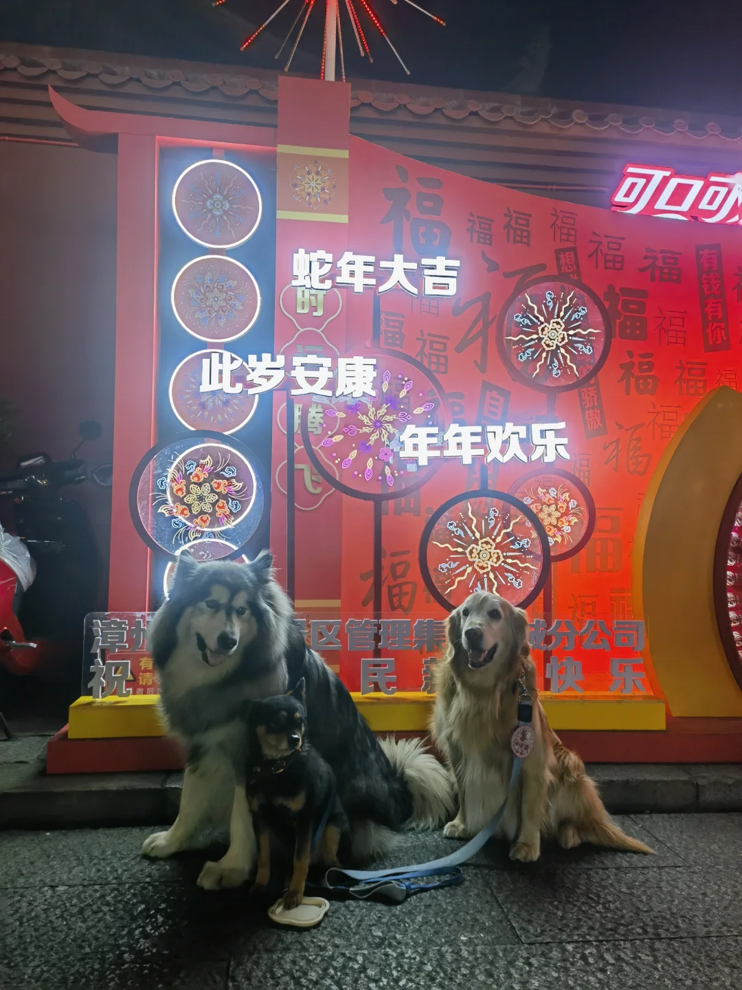 看看这座城