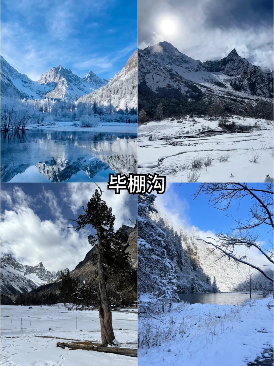 300+💰跟团四姑娘山毕棚沟2天已回说实话