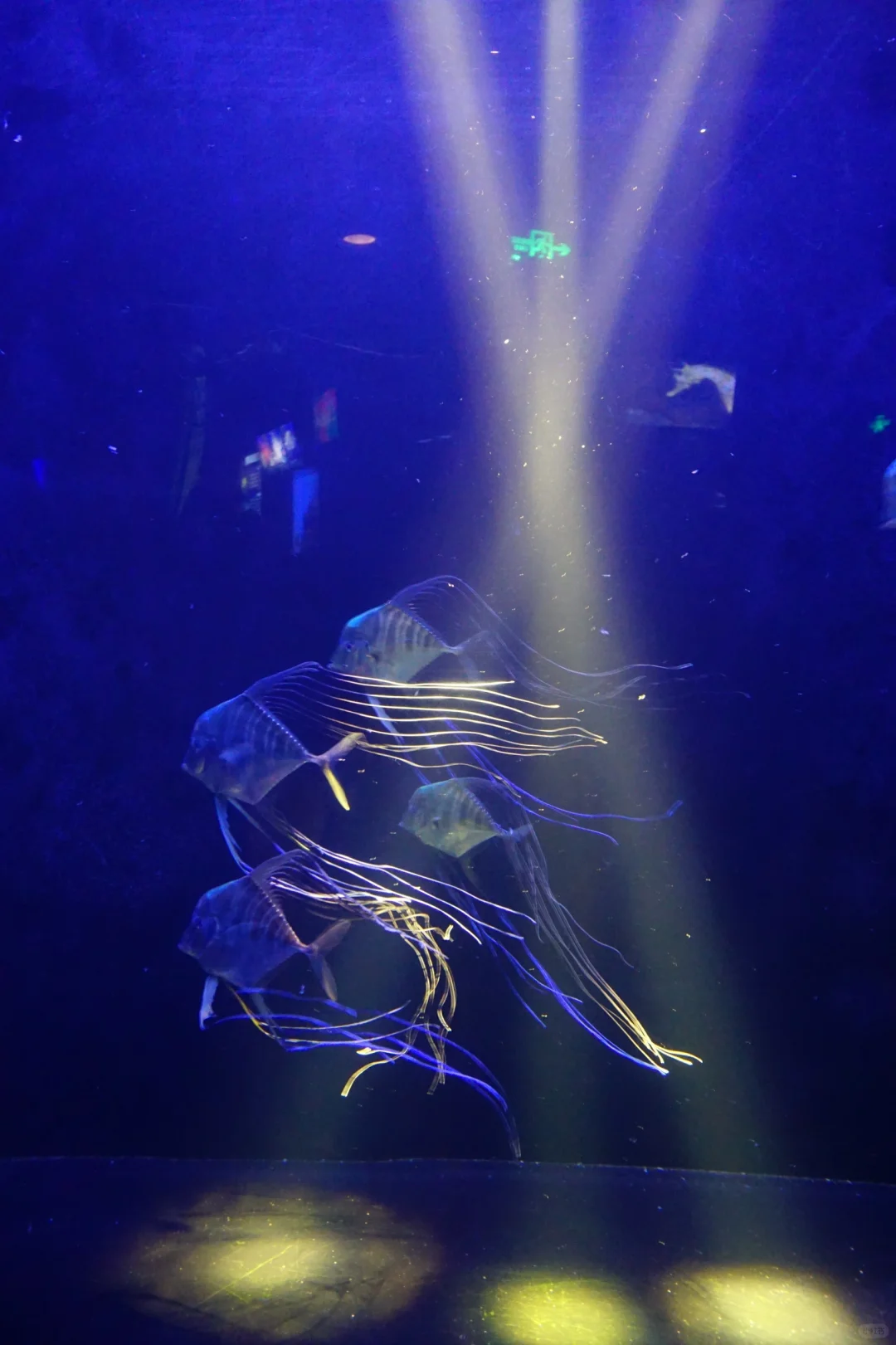 海洋馆