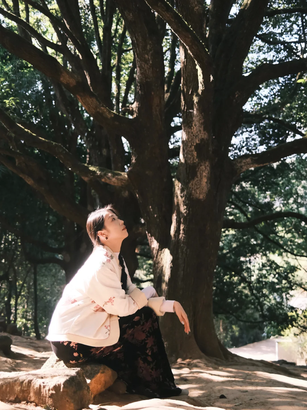 腾冲 | 和顺古镇吸氧指南🌳