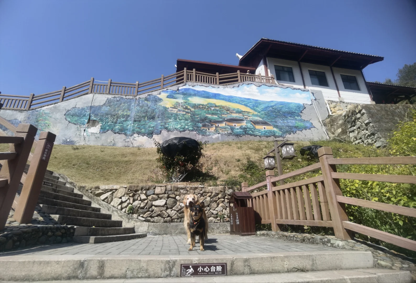 看看这座城