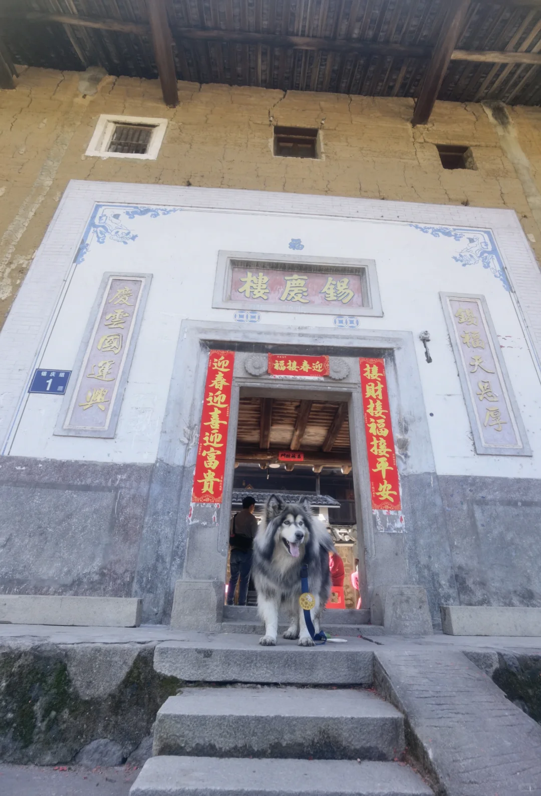 看看这座城