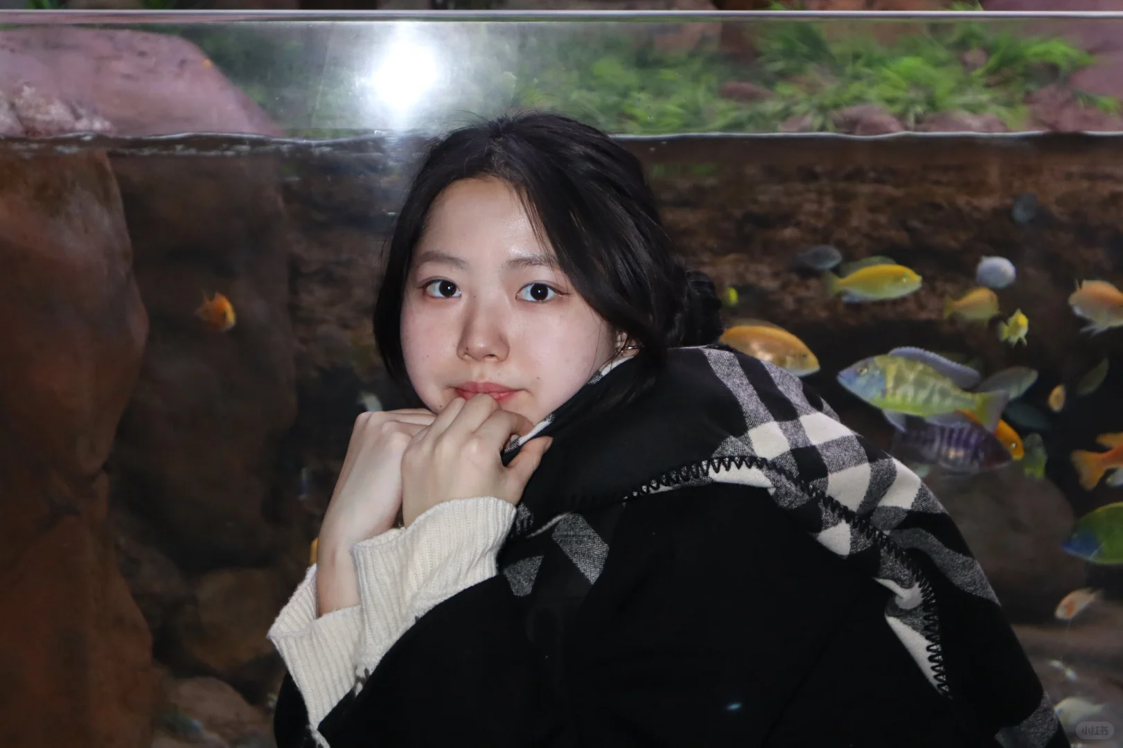 海洋馆