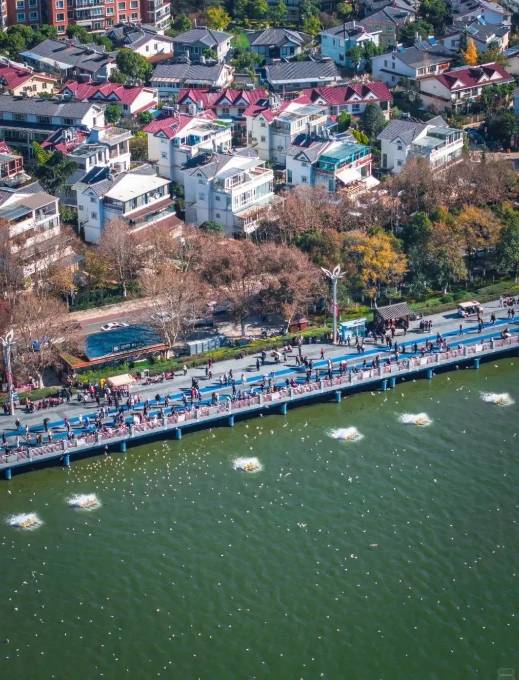 如果不差钱，退休后首选这4座城市久居，物