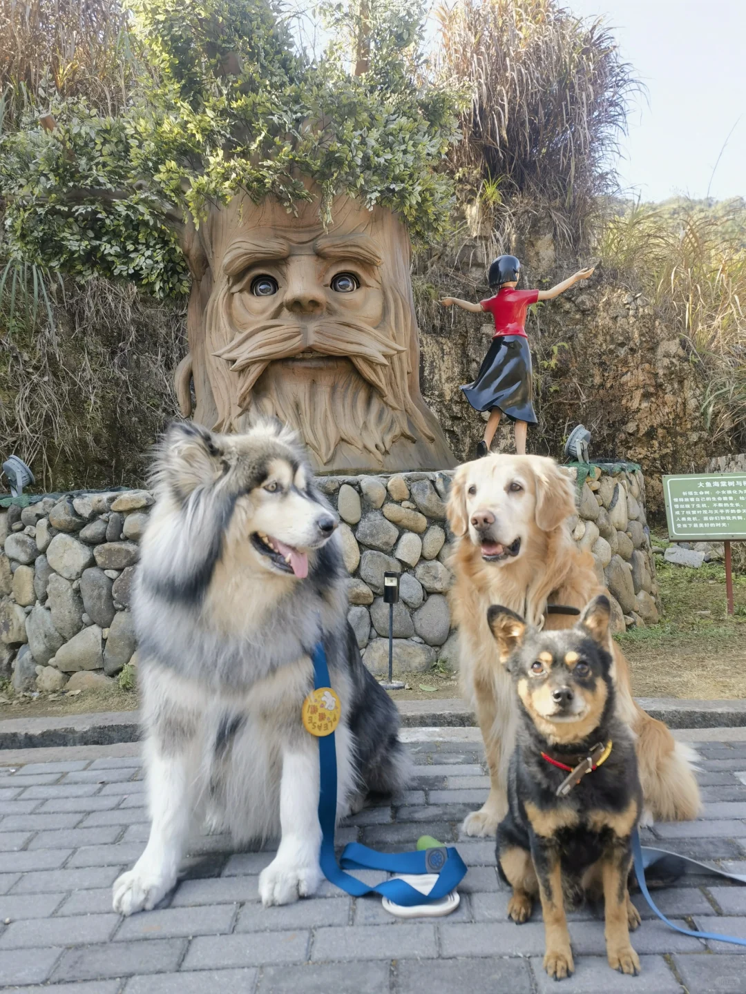 看看这座城