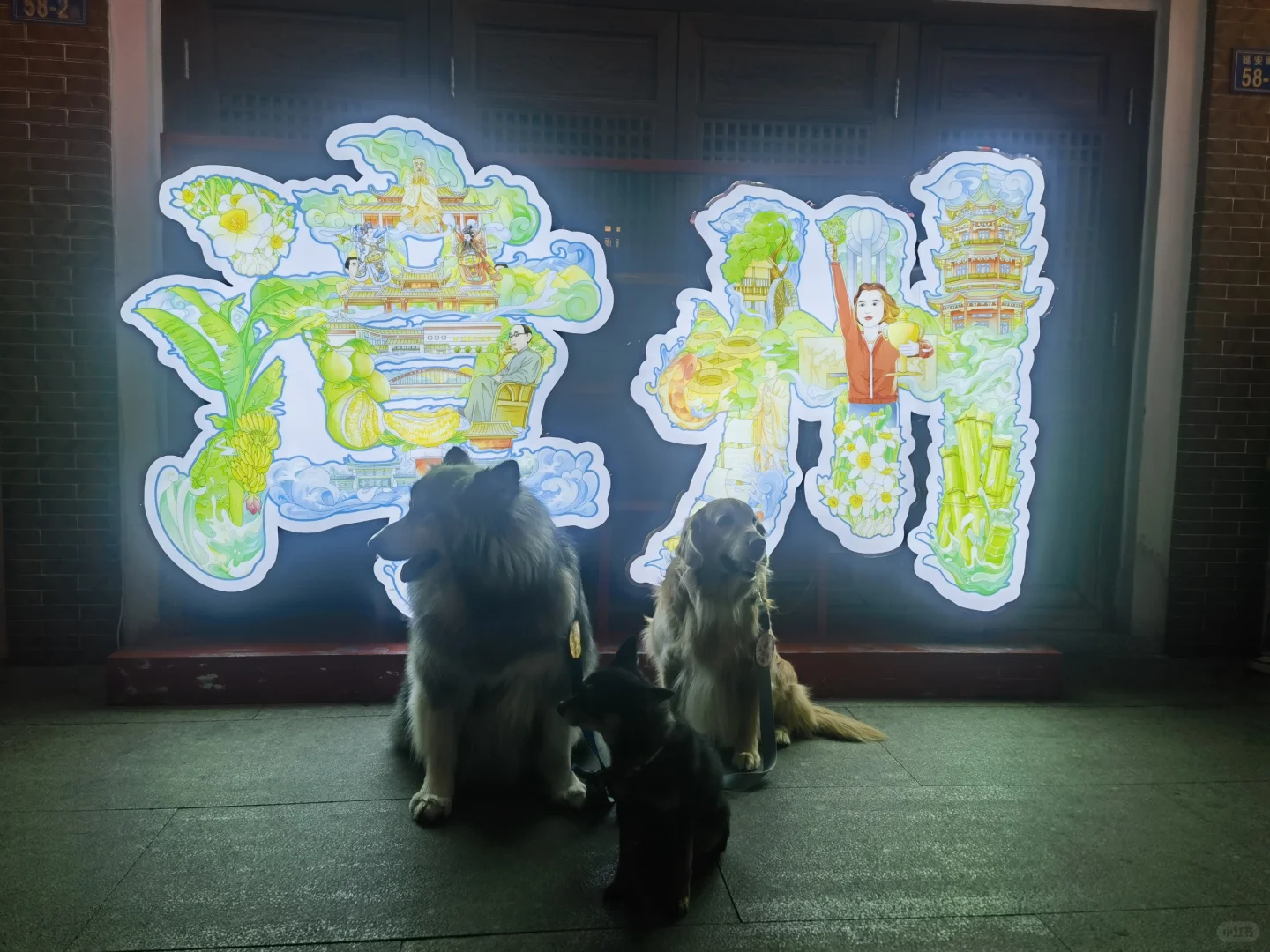 看看这座城