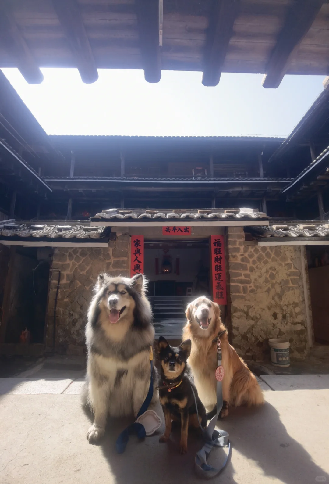 看看这座城