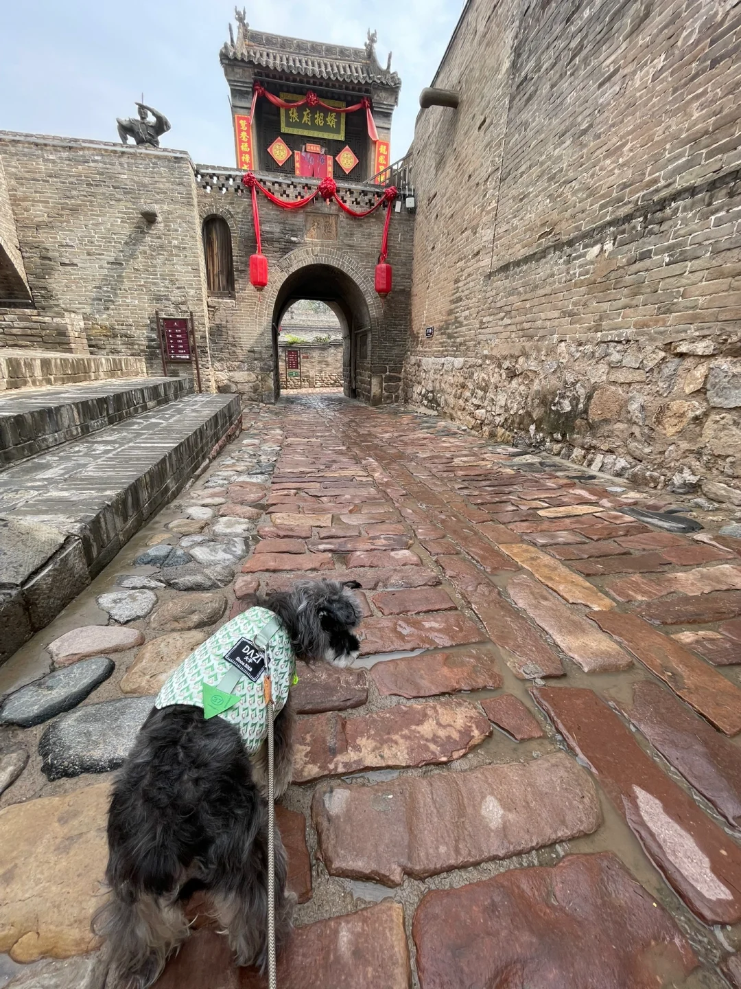 石家庄及周边宠物友好景区（新增龙泉古镇）